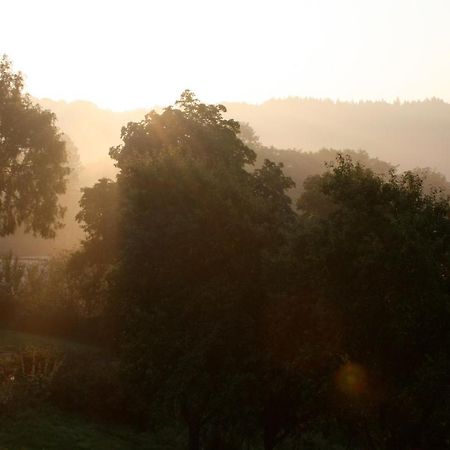 Eifel Rebeige Gerolstein Apartment Kopp ภายนอก รูปภาพ