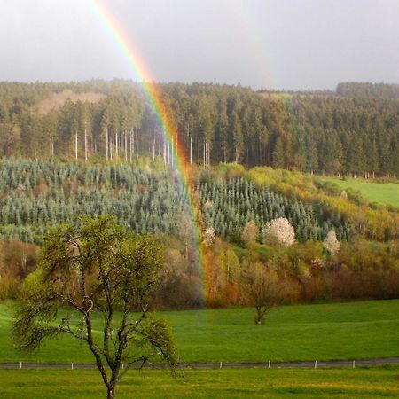 Eifel Rebeige Gerolstein Apartment Kopp ภายนอก รูปภาพ
