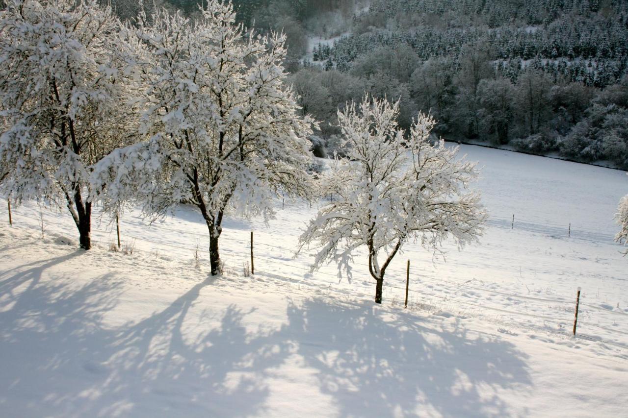 Eifel Rebeige Gerolstein Apartment Kopp ภายนอก รูปภาพ
