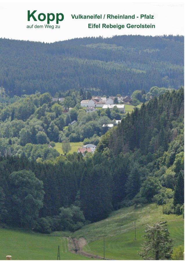Eifel Rebeige Gerolstein Apartment Kopp ภายนอก รูปภาพ