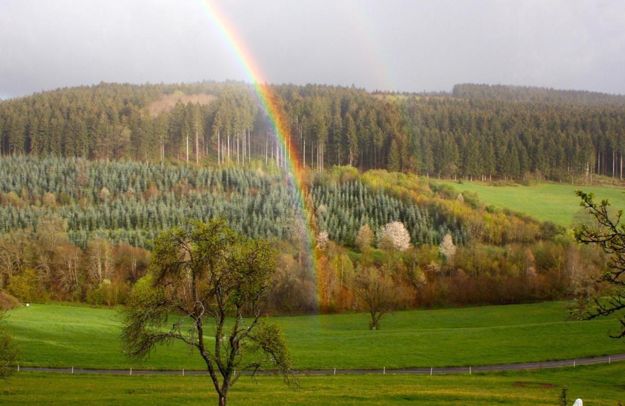 Eifel Rebeige Gerolstein Apartment Kopp ภายนอก รูปภาพ